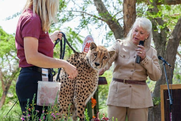 Screenshot 2025-06-18 at 00-45-52 Joan_Embrey_San_Diego_Zoo.jpg (JPEG Image 690 × 460 pixels)